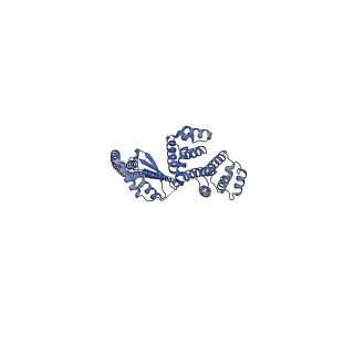 12382_7njl_d_v1-2
Mycobacterium smegmatis ATP synthase state 1b