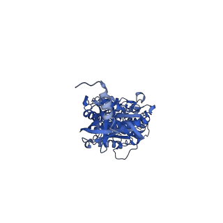 12387_7njm_A_v1-2
Mycobacterium smegmatis ATP synthase state 1c