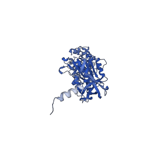 12387_7njm_B_v1-2
Mycobacterium smegmatis ATP synthase state 1c