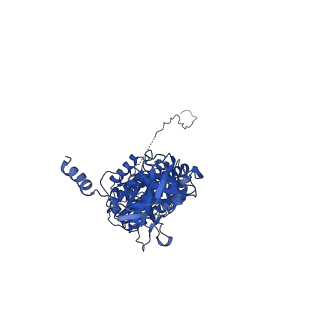 12387_7njm_C_v1-2
Mycobacterium smegmatis ATP synthase state 1c