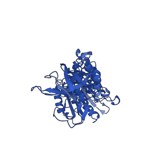 12387_7njm_D_v1-2
Mycobacterium smegmatis ATP synthase state 1c