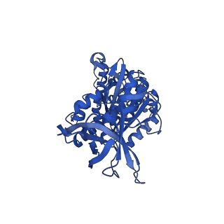 12387_7njm_E_v1-2
Mycobacterium smegmatis ATP synthase state 1c