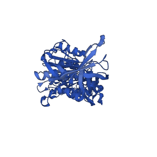 12387_7njm_F_v1-2
Mycobacterium smegmatis ATP synthase state 1c