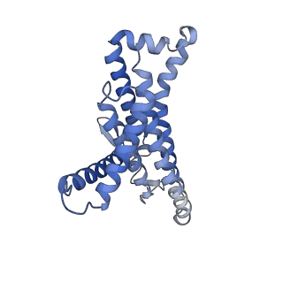 12387_7njm_a_v1-2
Mycobacterium smegmatis ATP synthase state 1c