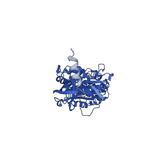 12392_7njn_A_v1-0
Mycobacterium smegmatis ATP synthase state 1d