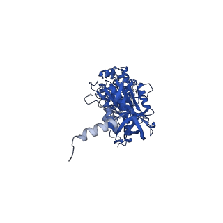 12392_7njn_B_v1-0
Mycobacterium smegmatis ATP synthase state 1d