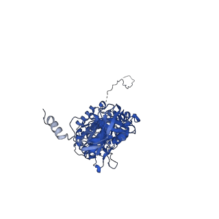 12392_7njn_C_v1-0
Mycobacterium smegmatis ATP synthase state 1d