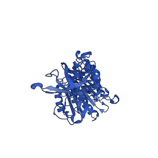 12392_7njn_D_v1-0
Mycobacterium smegmatis ATP synthase state 1d