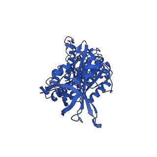 12392_7njn_E_v1-0
Mycobacterium smegmatis ATP synthase state 1d