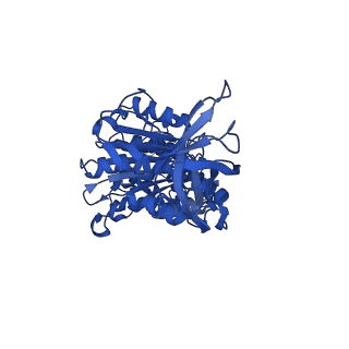 12392_7njn_F_v1-0
Mycobacterium smegmatis ATP synthase state 1d
