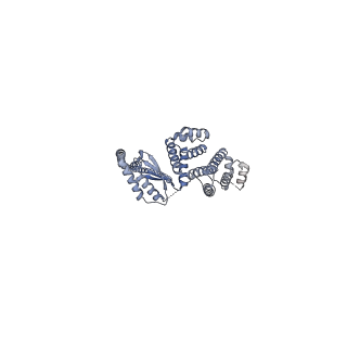 12392_7njn_d_v1-0
Mycobacterium smegmatis ATP synthase state 1d
