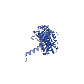 12397_7njo_B_v1-2
Mycobacterium smegmatis ATP synthase state 1e