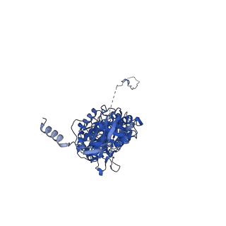 12397_7njo_C_v1-2
Mycobacterium smegmatis ATP synthase state 1e