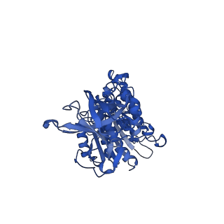 12397_7njo_D_v1-2
Mycobacterium smegmatis ATP synthase state 1e