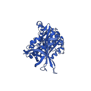 12397_7njo_E_v1-2
Mycobacterium smegmatis ATP synthase state 1e