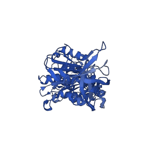 12397_7njo_F_v1-2
Mycobacterium smegmatis ATP synthase state 1e