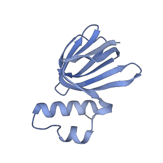 12397_7njo_H_v1-2
Mycobacterium smegmatis ATP synthase state 1e