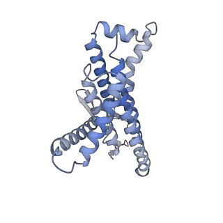 12397_7njo_a_v1-2
Mycobacterium smegmatis ATP synthase state 1e