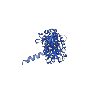 12402_7njp_A_v1-2
Mycobacterium smegmatis ATP synthase state 2