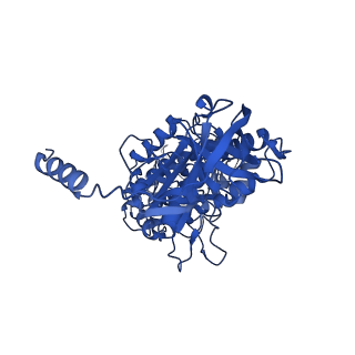 12402_7njp_B_v1-2
Mycobacterium smegmatis ATP synthase state 2