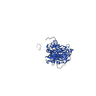 12402_7njp_C_v1-2
Mycobacterium smegmatis ATP synthase state 2