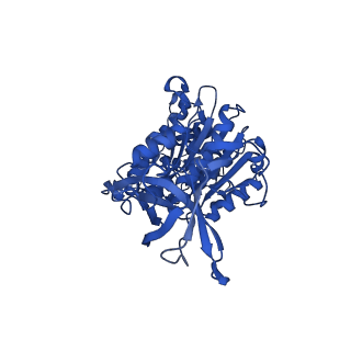 12402_7njp_D_v1-2
Mycobacterium smegmatis ATP synthase state 2