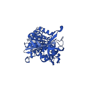 12402_7njp_E_v1-2
Mycobacterium smegmatis ATP synthase state 2
