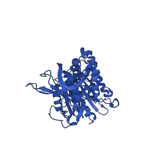 12402_7njp_F_v1-2
Mycobacterium smegmatis ATP synthase state 2