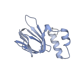 12402_7njp_H_v1-2
Mycobacterium smegmatis ATP synthase state 2