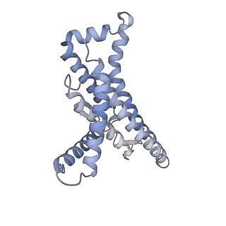 12402_7njp_a_v1-2
Mycobacterium smegmatis ATP synthase state 2