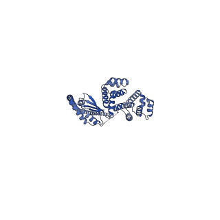 12402_7njp_d_v1-2
Mycobacterium smegmatis ATP synthase state 2