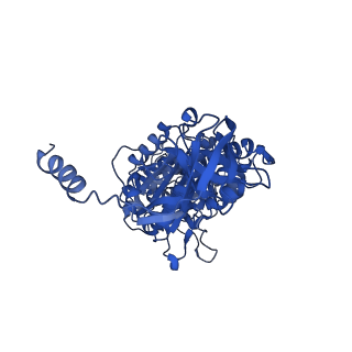12407_7njq_A_v1-2
Mycobacterium smegmatis ATP synthase state 3a