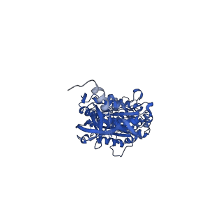 12407_7njq_B_v1-2
Mycobacterium smegmatis ATP synthase state 3a