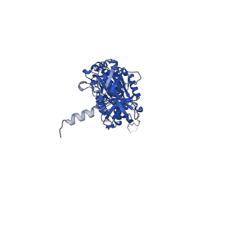 12407_7njq_C_v1-2
Mycobacterium smegmatis ATP synthase state 3a