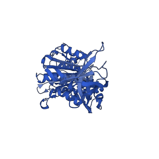 12407_7njq_D_v1-2
Mycobacterium smegmatis ATP synthase state 3a