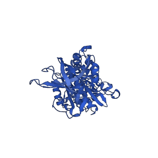 12407_7njq_E_v1-2
Mycobacterium smegmatis ATP synthase state 3a