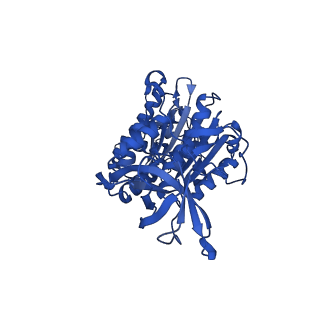 12407_7njq_F_v1-2
Mycobacterium smegmatis ATP synthase state 3a