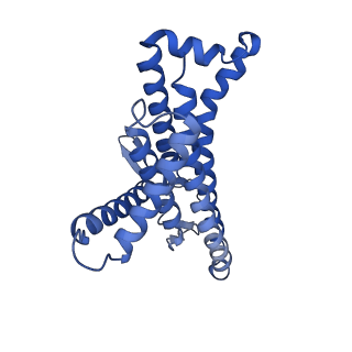 12407_7njq_a_v1-2
Mycobacterium smegmatis ATP synthase state 3a