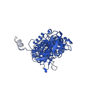 12412_7njr_A_v1-2
Mycobacterium smegmatis ATP synthase state 3b