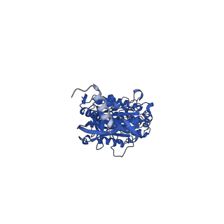 12412_7njr_B_v1-2
Mycobacterium smegmatis ATP synthase state 3b