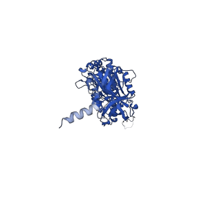 12412_7njr_C_v1-2
Mycobacterium smegmatis ATP synthase state 3b
