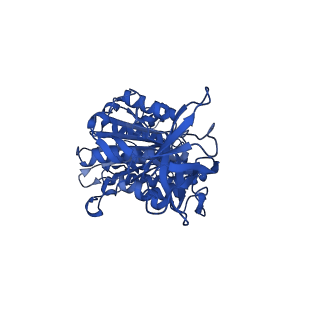 12412_7njr_D_v1-2
Mycobacterium smegmatis ATP synthase state 3b