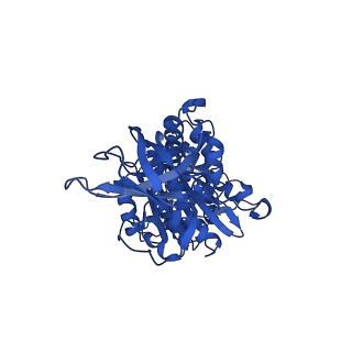 12412_7njr_E_v1-2
Mycobacterium smegmatis ATP synthase state 3b