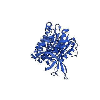 12412_7njr_F_v1-2
Mycobacterium smegmatis ATP synthase state 3b