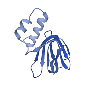 12412_7njr_H_v1-2
Mycobacterium smegmatis ATP synthase state 3b