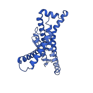 12412_7njr_a_v1-2
Mycobacterium smegmatis ATP synthase state 3b