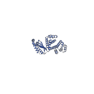 12412_7njr_d_v1-2
Mycobacterium smegmatis ATP synthase state 3b