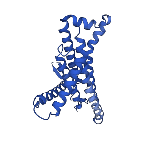 12422_7njt_a_v1-1
Mycobacterium smegmatis ATP synthase Fo combined all classes