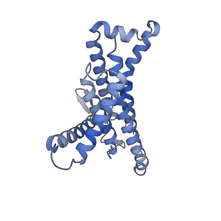 12423_7nju_a_v1-1
Mycobacterium smegmatis ATP synthase Fo combined class 1