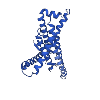 12424_7njv_a_v1-1
Mycobacterium smegmatis ATP synthase Fo combined class 2